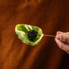 Barfly Copper Circle Top Cocktail Pick