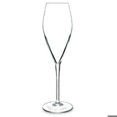 Atelier Champagne Flutes 9.5oz / 270ml