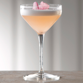 Atelier Cocktail & Champagne Coupe Glasses 10.5oz / 300ml