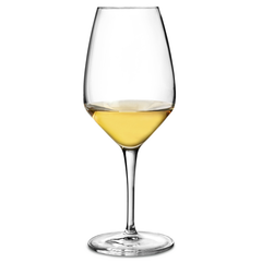 Atelier White Wine Glasses 15.5oz / 440ml