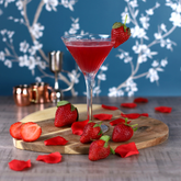 Bach Martini Cocktail Glasses 9oz / 270ml