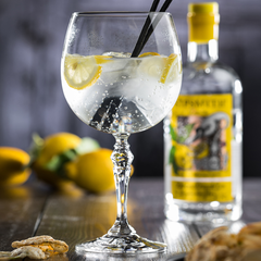 Bar Gin & Tonic Glasses 22oz / 630ml