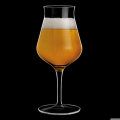 Birrateque Beer Taster Glasses 14.75oz / 420ml