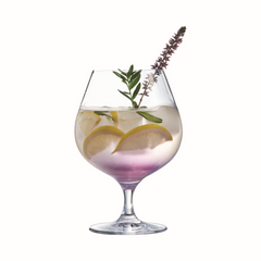 Brandy Stemglasses 24oz / 710ml