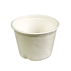 Bagasse Portion Pot 4oz / 120ml