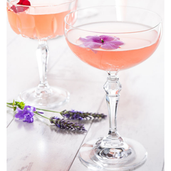 Charleston Champagne Coupe Glasses 9oz / 260ml