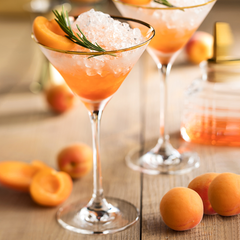 City Martini Glasses Gold Rim 7.25oz / 200ml