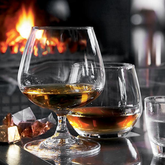 Degustation Brandy Glasses 5.3oz / 150ml