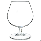 Degustation Brandy Glasses 8.8oz / 250ml