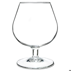 Degustation Brandy Glasses 8.8oz / 250ml