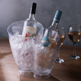 Double Bottle Drinks Pail