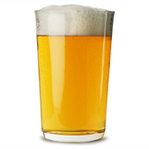 Duralex Unie Tumblers 20oz / 560ml