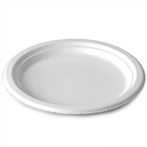 Biodegradable Sugarcane Large Plates