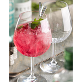 Eden Shimmer Polycarbonate Gin Glass 24oz / 680ml