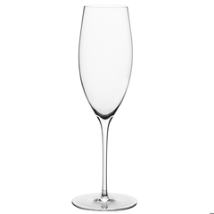 Elia Siena Champagne Flutes 8oz / 240ml