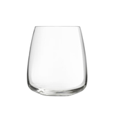 Experts Collection Water Tumbler Glass 15.75oz / 450ml