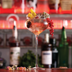 Grace Large Champagne Saucer 17.5oz / 500ml