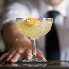 Hobstar Coupe Glasses 8.25oz / 240ml