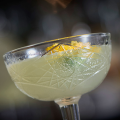 Hobstar Coupe Glasses 8.25oz / 240ml