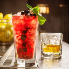 Inverness Beer Hiball Tumblers 12oz LUKCA at 10oz