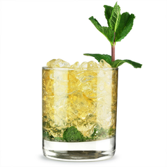 Islande Tumblers 10.6oz / 300ml