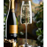 Lord Champagne Flute 12oz / 340ml