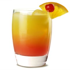 Michelangelo Masterpiece Double Old Fashioned Glasses 12oz / 340ml