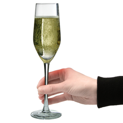 Mineral Champagne Flutes 5.6oz / 160ml