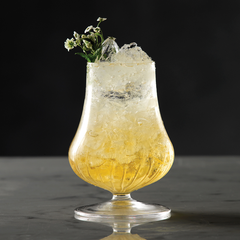 Mixology Tasting Cocktail Glasses 8oz / 230ml