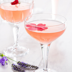 Moda Coupe Glasses 7.5oz / 210ml