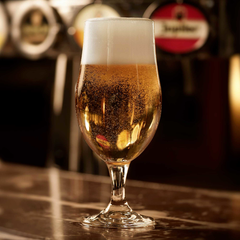 Munique Stemmed Beer Glasses 13oz / 369ml