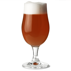 Munique Stemmed Beer Glasses UKCA 10oz / 280ml