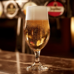 Munique Stemmed Beer Glasses UKCA 10oz / 280ml