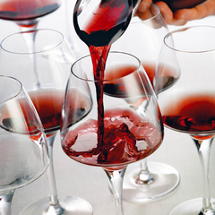 Open Up Universal Tasting Glasses 14oz / 400ml