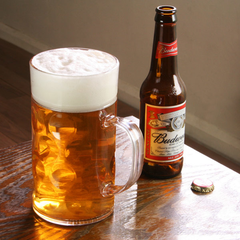 Plastic Beer Stein 2 Pint / 1ltr