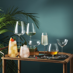 Speakeasy Swing Fizz Glass 9.5oz / 270ml