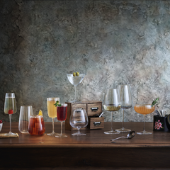 Speakeasy Swing Fizz Glass 9.5oz / 270ml