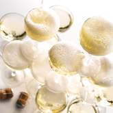 Specials Champagne Saucers 8.5oz / 240ml