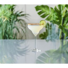 Specials Cocktails Margarita Glasses 11.25oz / 320ml
