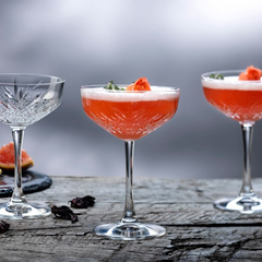 Timeless Vintage Coupe Glass 9.5oz / 270ml