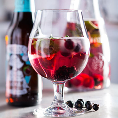 Toughened Draft Beer Glasses 16.75oz / 480ml