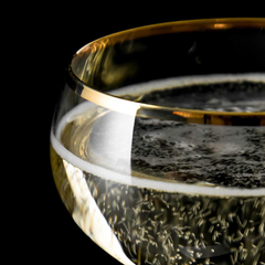 Urban Bar Retro Gold Rim Coupe Glasses 7.4oz / 210ml