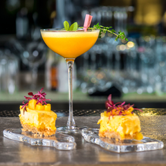 Utopia Hepburn Coupe Glasses 6.5oz / 200ml