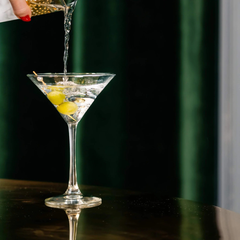 Vina Martini Glasses 8.5oz / 240ml