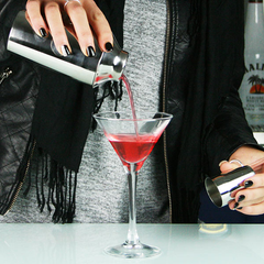 Manhattan Mini Cocktail Shaker 10oz