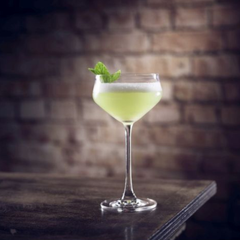 Alca Martini Glass 8.25oz / 235ml