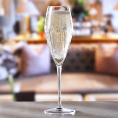 Atelier Champagne Flutes 9.5oz / 270ml