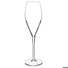 Atelier Champagne Flutes 9.5oz / 270ml