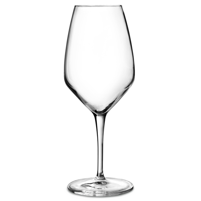 Atelier White Wine Glasses 15.5oz / 440ml