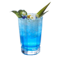 Bourbon Street Hiball 360ml / 12.50oz